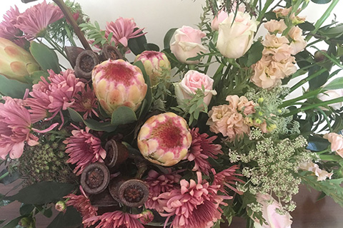 Australian Natives Protea Pink Roses