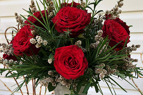 Container Red Roses