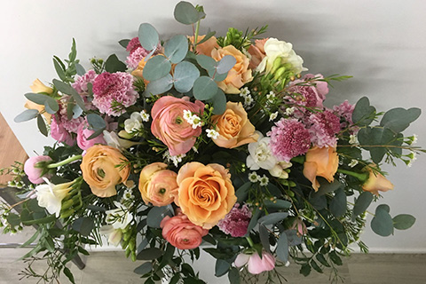 Roses Apricot