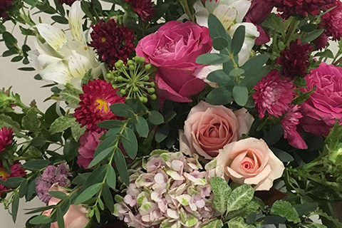 Roses Pink Grouped