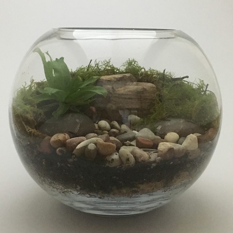 Living Art Plants Terrarium Blossom Indulgence